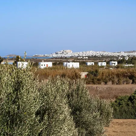 Lemonia Grand Deluxe Apartamento Agia Anna (Naxos)