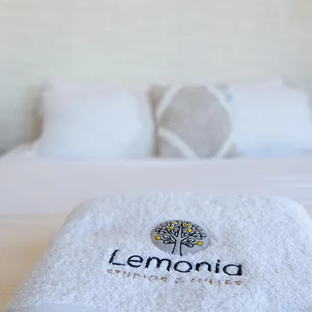 Lemonia Grand Deluxe Agia Anna (Naxos)